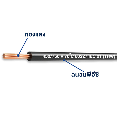 สายไฟ 60227 IEC01 THW 1x50 THAI UNION ไทยยูเนี่ยน (ม้วน = 90เมตร)